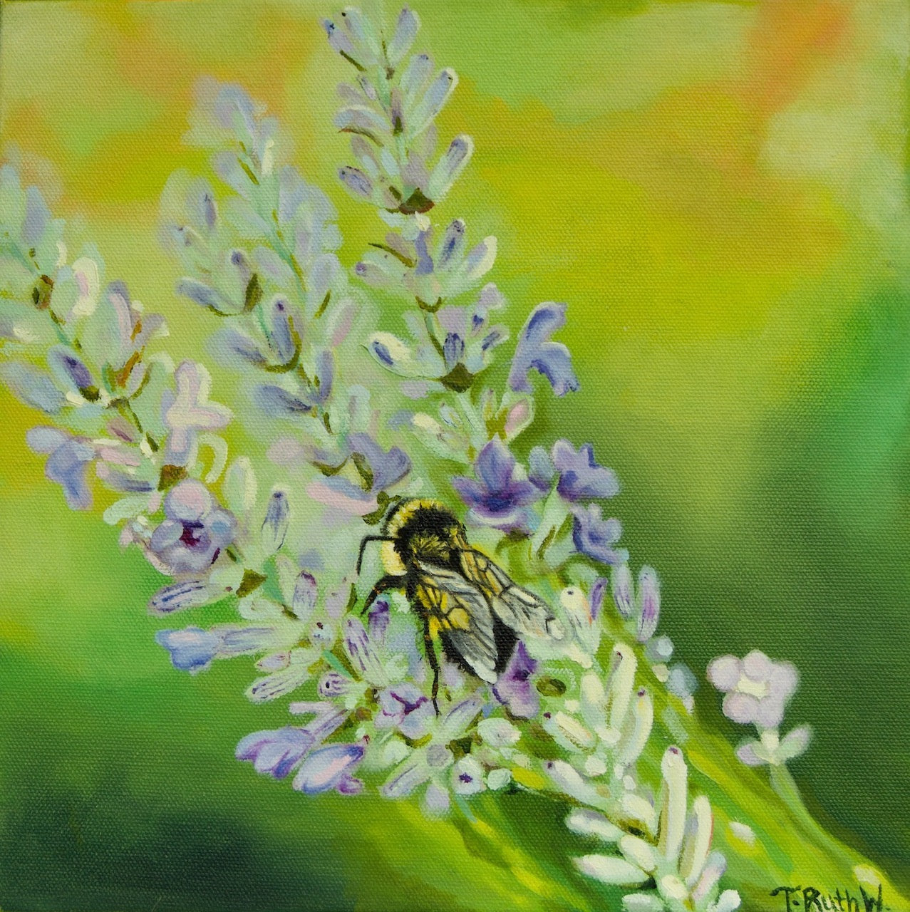 Bumble Sherbert- Original Oil Painting
