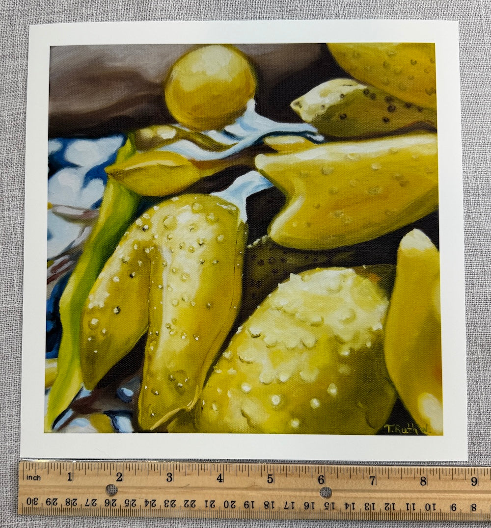 Fine Art Print- Bladderwrack II
