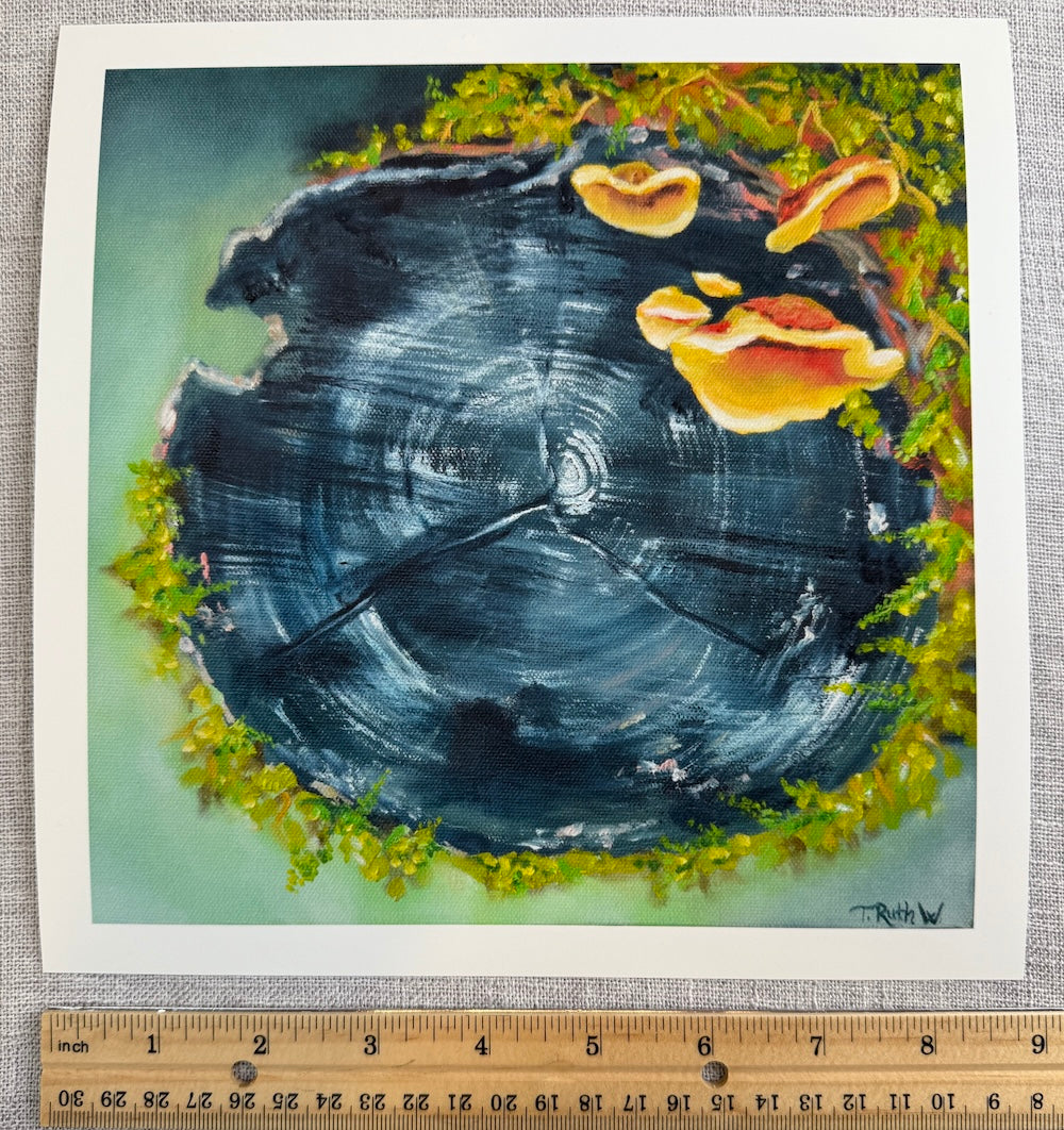 Fine Art Print- Log Slice 24