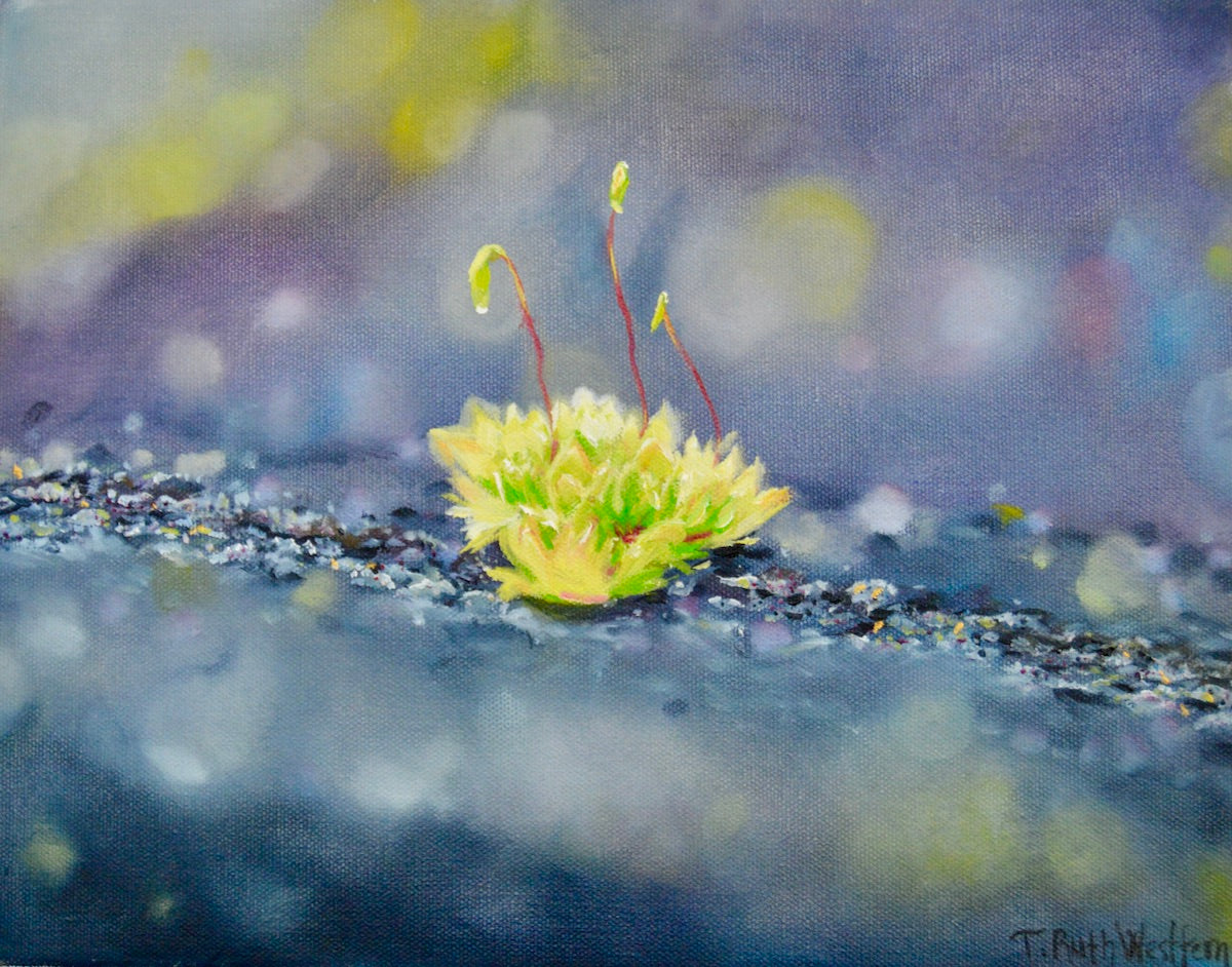 Rosulabyrum- Original Oil Painting