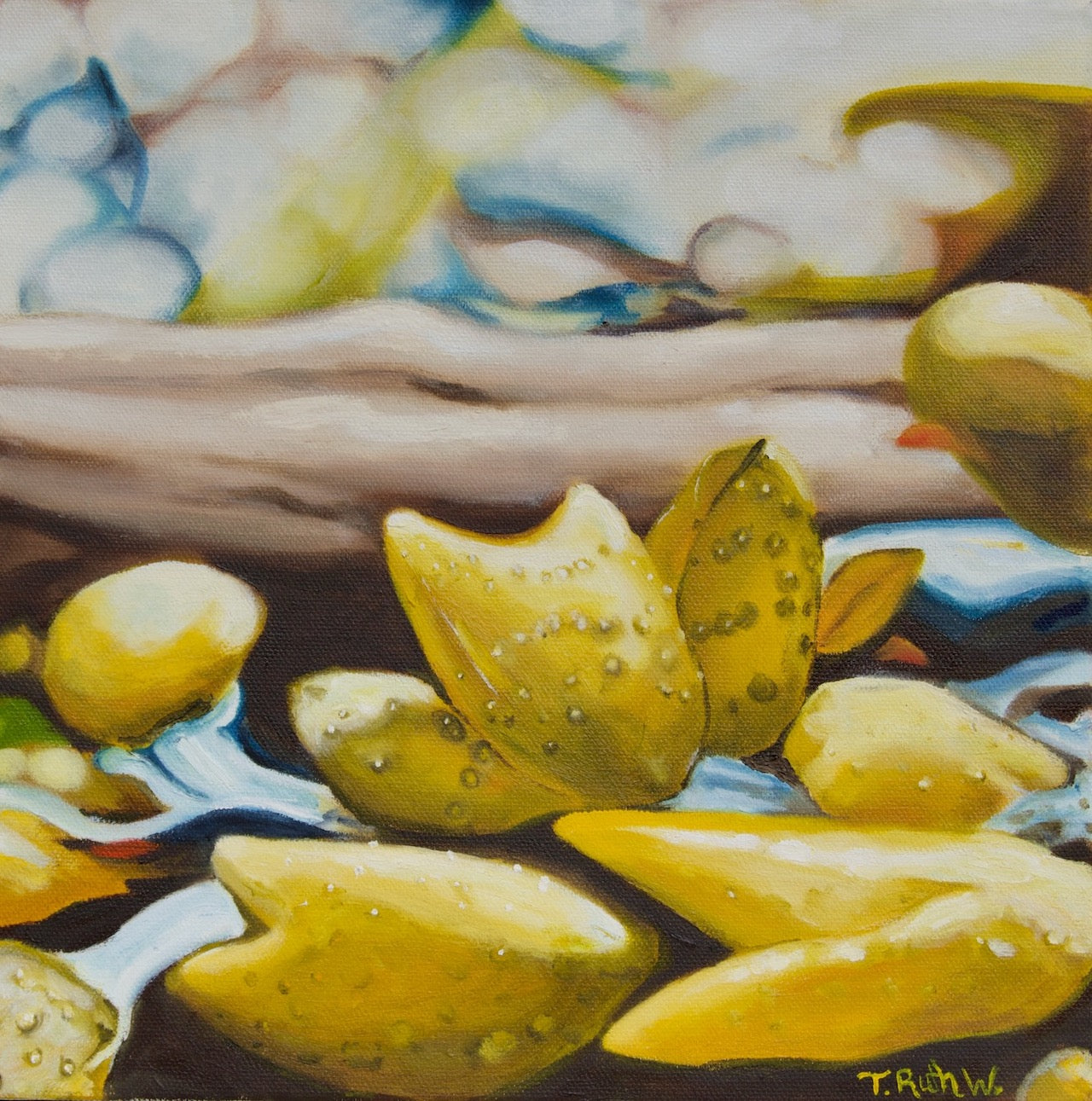 Fine Art Print- Bladderwrack I