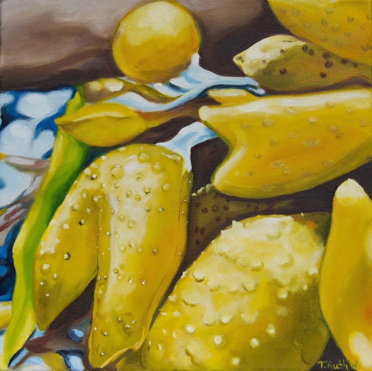 Fine Art Print- Bladderwrack II