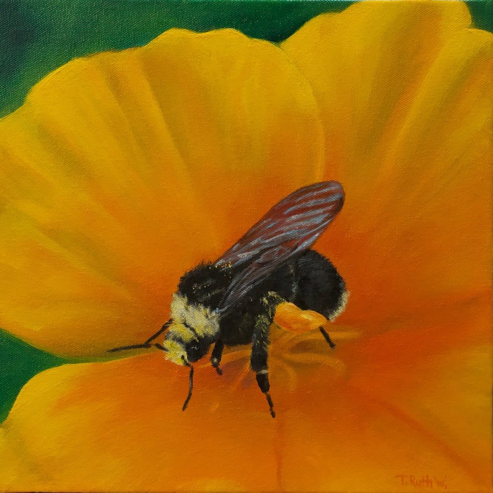Poppy Pollen Pants- Original Oil Painting