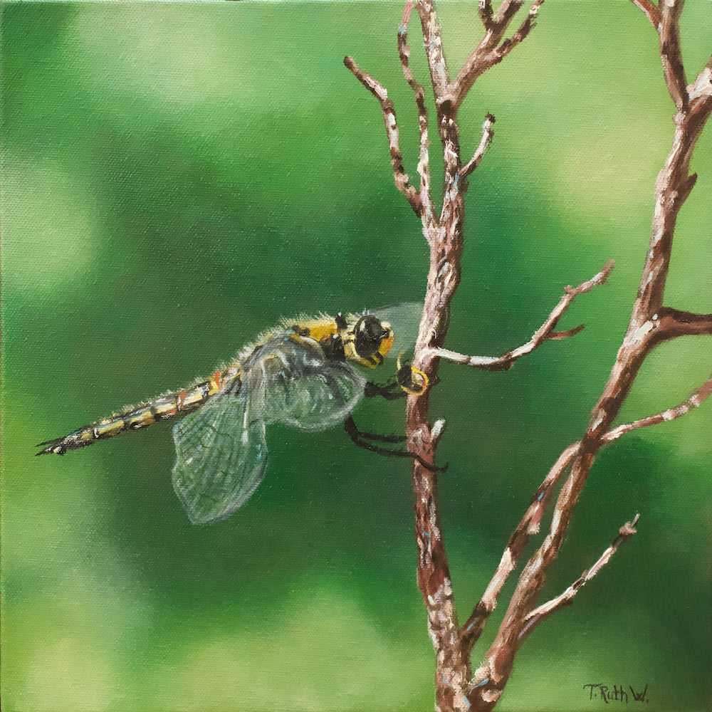 Dragonfly and Co. - Original Oil Painting