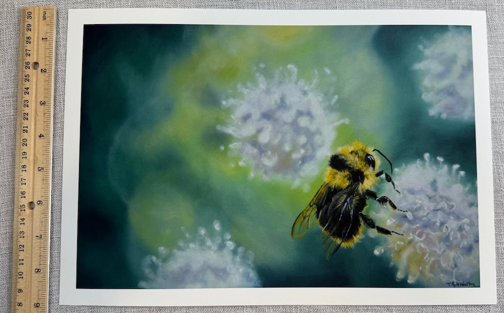 Fine art print - Powell Meadow Bumble