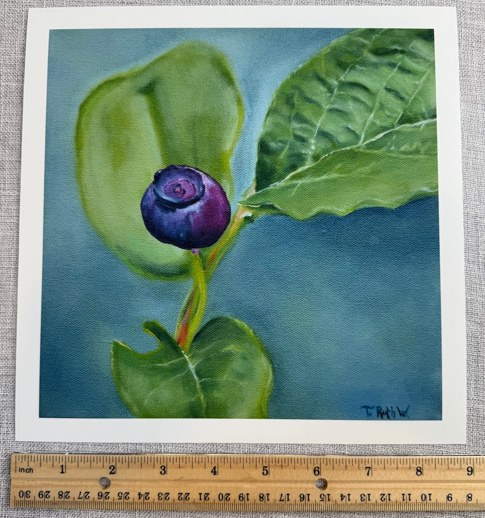 Fine Art Print- Wild Blueberry 50/50