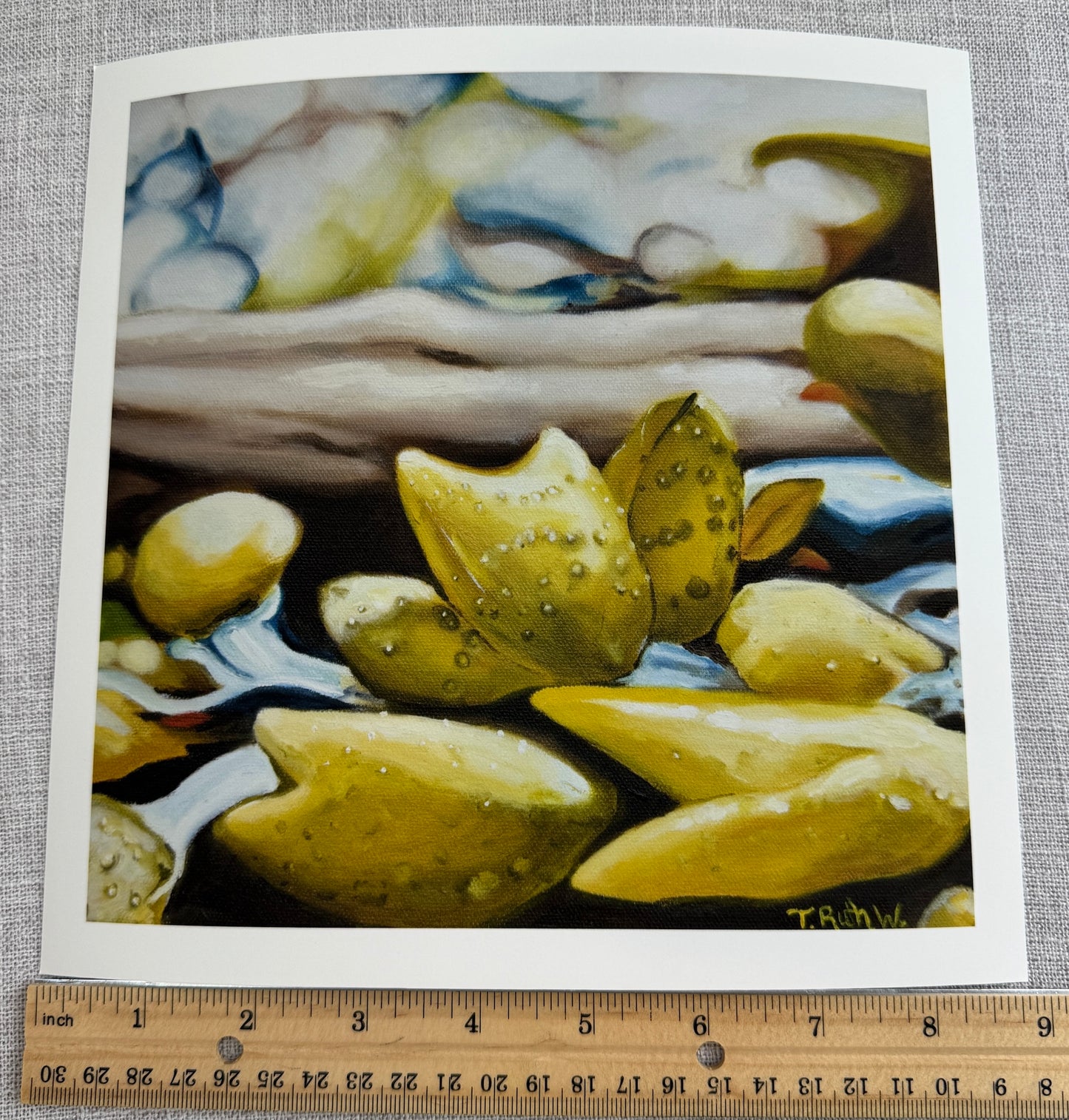 Fine Art Print- Bladderwrack I