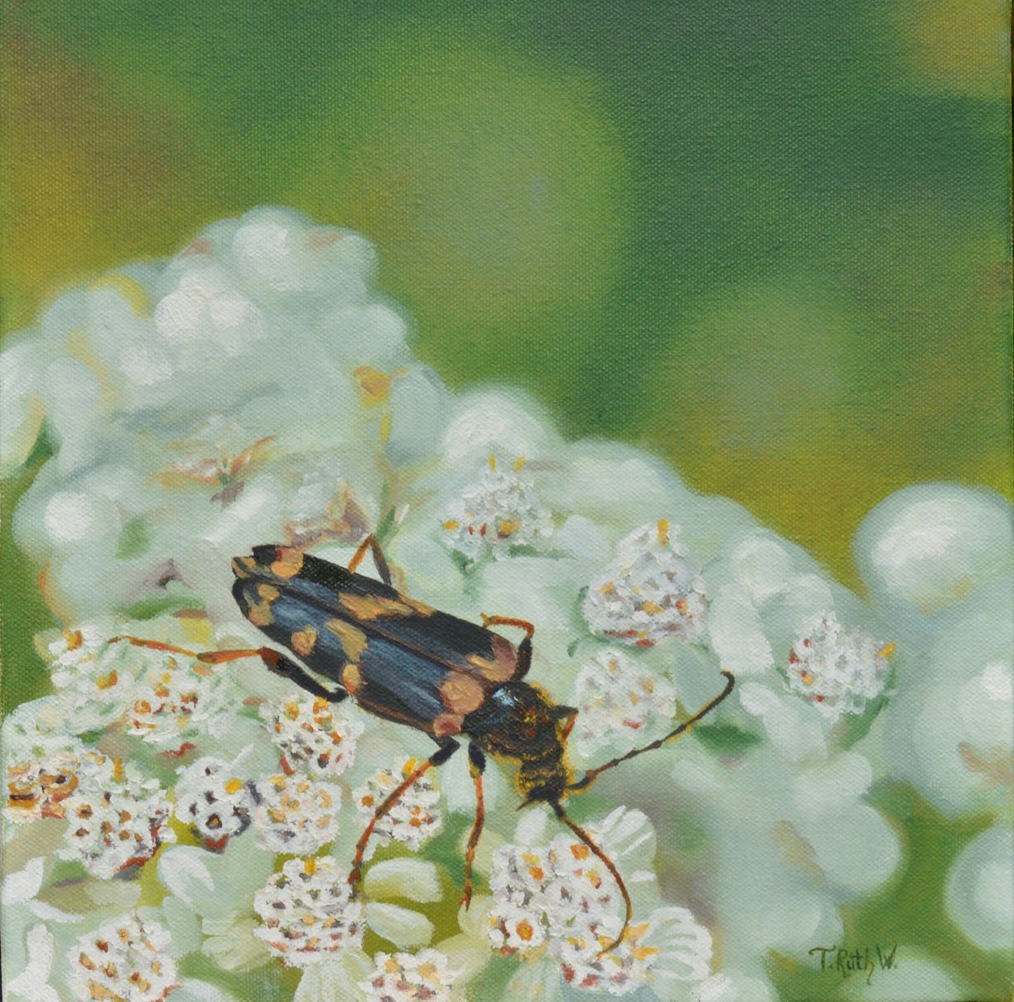 Flower Longhorn Beetle Sunset Stroll - Original Oil Painting