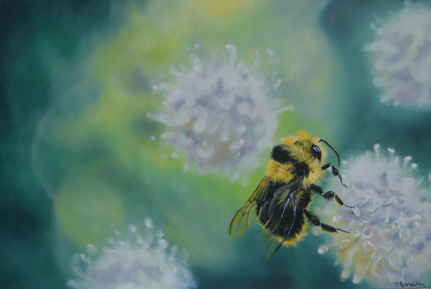 Fine art print - Powell Meadow Bumble