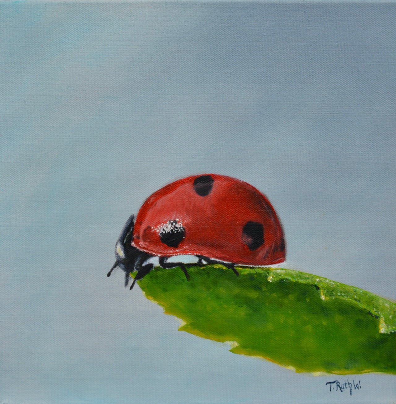 Townsend Ladybug- Original Oil Painting